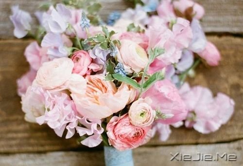 晚安心语：愿你成为自己的太阳 (2)