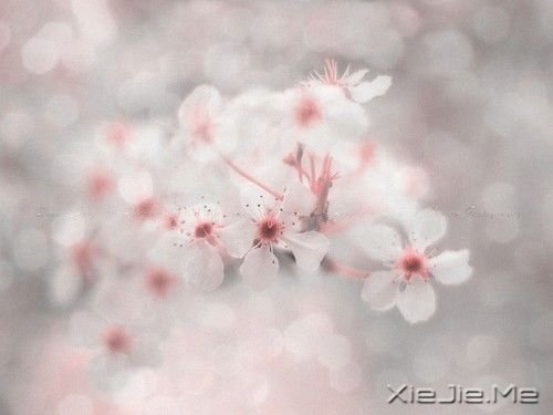 晚安心语：愿你成为自己的太阳 (4)