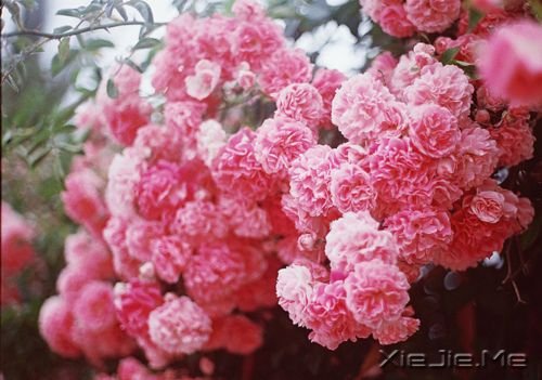 晚安心语：愿你成为自己的太阳 (10)