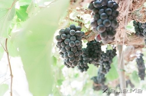 早安心语：生活只有经得起平静，方才显淡泊宁静的真实 (2)