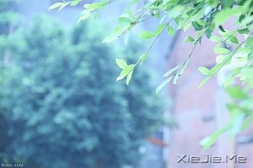 放下这十样东西，你会变得更加优秀 (5)