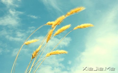 写人仅两笔，做人需一生 (1)