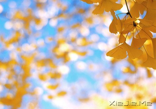 写人仅两笔，做人需一生 (10)