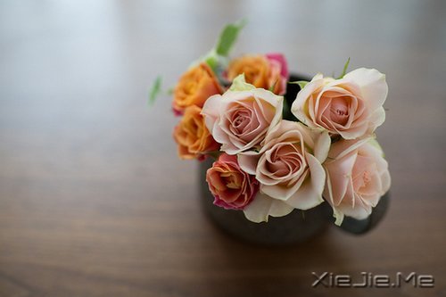 写人仅两笔，做人需一生 (3)